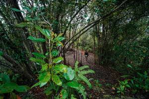 BIB: 
                            <button type="button" onclick="openModal(26196437)" class="btn btn-primary btn-sm float-right btn-popup" data-toggle="modal" data-target=".modal-high-quality">
                        <i class="fas fa-shopping-cart"></i> Add to Cart
                    </button>
                                            <button type="button" onclick="isThisMe(26196437, true)" class="btn btn-success btn-sm float-right btn-popup btn-isme hidden" data-toggle="tooltip" data-placement="bottom" title="นี่คือรูปของคุณใช่ไหม คลิกที่นี่เพื่อเอาเข้าอัลบั้ม">
                        <i class="fas fa-plus"></i> Add to album
                    </button>
                    <button type="button" onclick="isThisMe(26196437, false)" class="btn btn-warning btn-sm float-right btn-popup btn-isnotme hidden">
                        <i class="fas fa-ban"></i> Remove from album
                    </button>